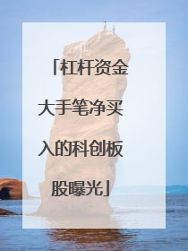 杠杆资金大手笔净买入的科创板股曝光