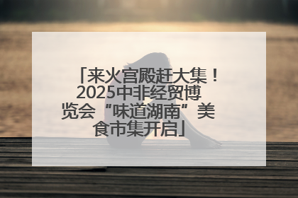 来火宫殿赶大集！2025中非经贸博览会“味道湖南”美食市集开启