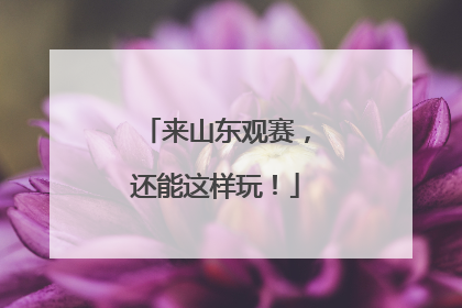 来山东观赛，还能这样玩！