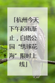 杭州今天下午起雨渐止，白塔公园“绣球花海”限时上线