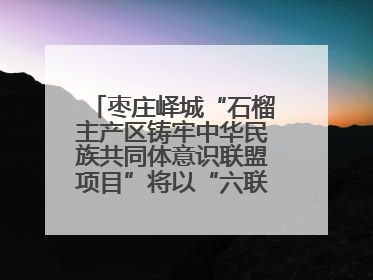 枣庄峄城“石榴主产区铸牢中华民族共同体意识联盟项目”将以“六联”活动为抓手深化品牌建设