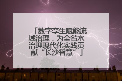 数字孪生赋能流域治理，为全省水治理现代化实践贡献“长沙智慧”