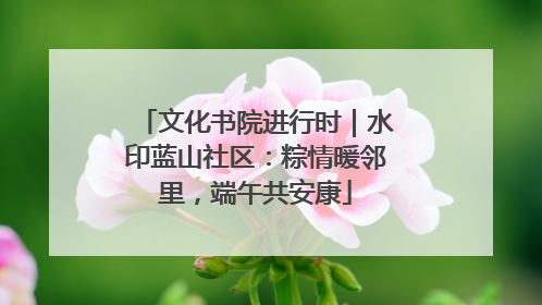 文化书院进行时｜水印蓝山社区：粽情暖邻里，端午共安康