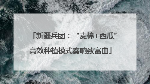 新疆兵团：“麦棉+西瓜”高效种植模式奏响致富曲