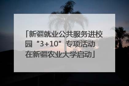 新疆就业公共服务进校园“3+10”专项活动在新疆农业大学启动
