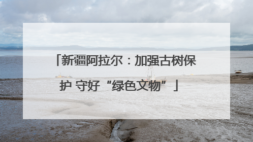新疆阿拉尔：加强古树保护 守好“绿色文物”