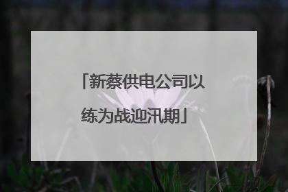 新蔡供电公司以练为战迎汛期