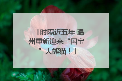 时隔近五年 温州重新迎来“国宝”大熊猫！