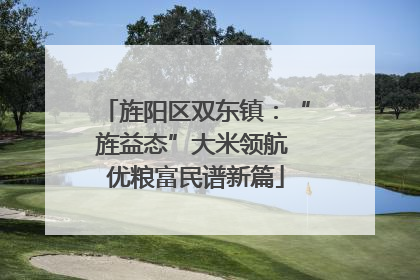 旌阳区双东镇：“旌益态”大米领航 优粮富民谱新篇