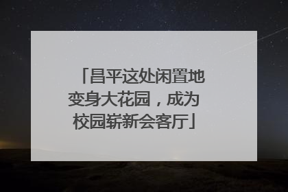 昌平这处闲置地变身大花园，成为校园崭新会客厅