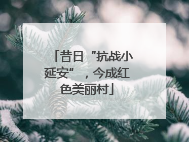 昔日“抗战小延安”，今成红色美丽村