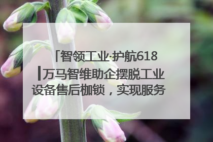 智领工业·护航618┃万马智维助企摆脱工业设备售后枷锁，实现服务与效能价值共振！