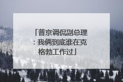 普京调侃副总理：我俩到底谁在克格勃工作过