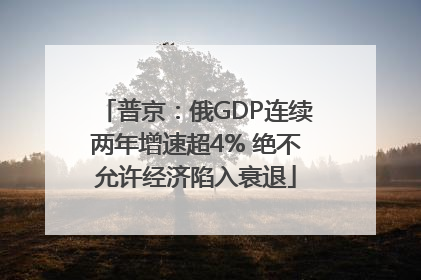普京：俄GDP连续两年增速超4% 绝不允许经济陷入衰退
