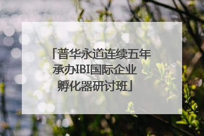 普华永道连续五年承办IBI国际企业孵化器研讨班