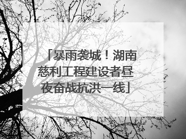 暴雨袭城！湖南慈利工程建设者昼夜奋战抗洪一线