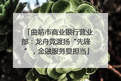 曲靖市商业银行营业部：龙舟竞渡扬“先锋”，金融服务显担当