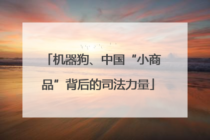 机器狗、中国“小商品”背后的司法力量