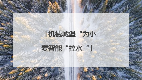 机械城堡“为小麦智能“控水“