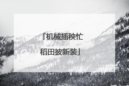 机械插秧忙 稻田披新装
