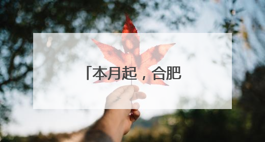 本月起，合肥⇋镇江航线加密至每周三班