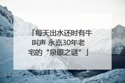 每天出水还时有牛叫声 永嘉30年老宅的“泉眼之谜”