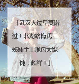 武汉人过早莫错过！北湖路梅氏三姊妹手工现包大馄饨，超鲜！