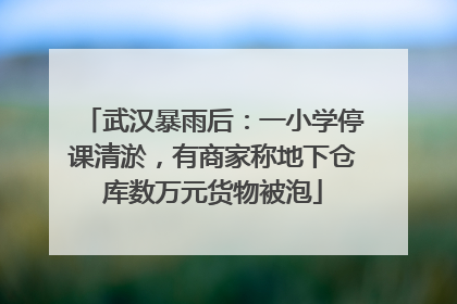 武汉暴雨后：一小学停课清淤，有商家称地下仓库数万元货物被泡