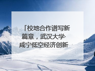 校地合作谱写新篇章，武汉大学·咸宁低空经济创新研究院签约成立