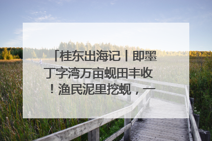 桂东出海记丨即墨丁字湾万亩蚬田丰收！渔民泥里挖蚬，一天上岸过千斤