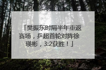 樊振东时隔半年重返赛场，乒超首轮对阵徐瑛彬，3:2获胜！