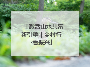 激活山水共富新引擎｜乡村行·看振兴