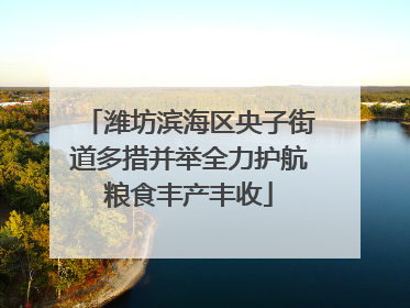 潍坊滨海区央子街道多措并举全力护航粮食丰产丰收