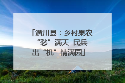 潢川县：乡村果农“愁”满天  民兵出“机”情满园