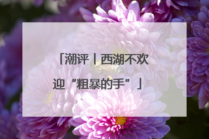 潮评丨西湖不欢迎“粗暴的手”