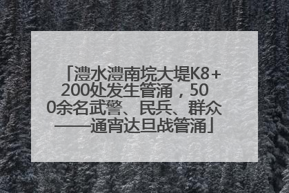 澧水澧南垸大堤K8+200处发生管涌，500余名武警、民兵、群众——通宵达旦战管涌