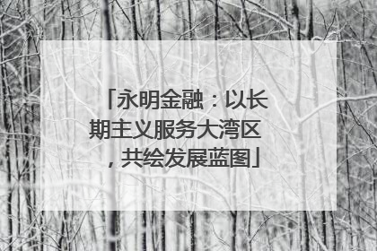 永明金融：以长期主义服务大湾区，共绘发展蓝图