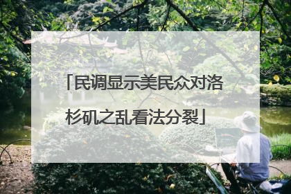 民调显示美民众对洛杉矶之乱看法分裂