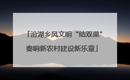 汾湖乡风文明“结双果” 奏响新农村建设新乐章