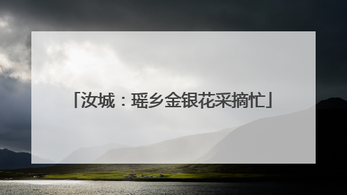 汝城：瑶乡金银花采摘忙