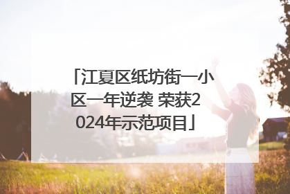 江夏区纸坊街一小区一年逆袭 荣获2024年示范项目