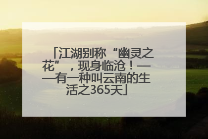 江湖别称“幽灵之花”，现身临沧！——有一种叫云南的生活之365天