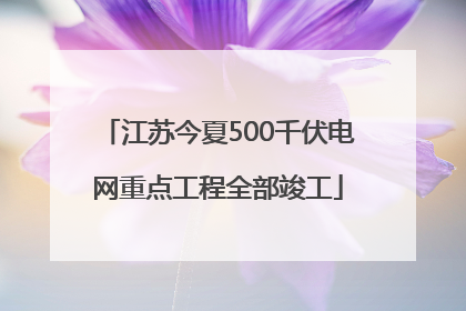 江苏今夏500千伏电网重点工程全部竣工