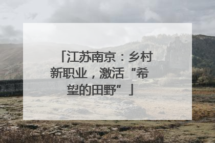 江苏南京：乡村新职业，激活“希望的田野”