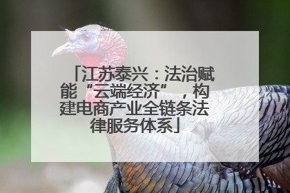 江苏泰兴：法治赋能“云端经济”，构建电商产业全链条法律服务体系