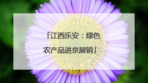 江西乐安：绿色农产品进京展销