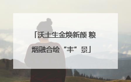 沃土生金焕新颜 粮烟融合绘“丰”景