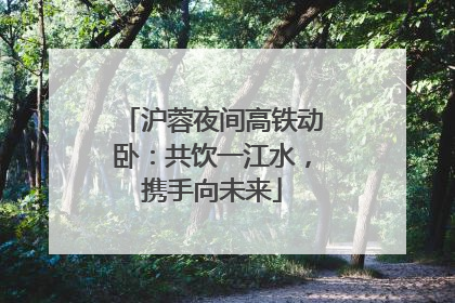 沪蓉夜间高铁动卧：共饮一江水，携手向未来