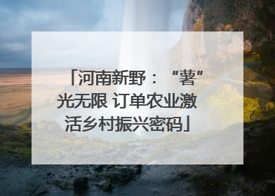 河南新野：“薯”光无限 订单农业激活乡村振兴密码