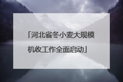 河北省冬小麦大规模机收工作全面启动